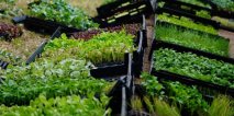 El EcoCanje finaliza su recorrido con tres jornadas en Mar del Tuyú